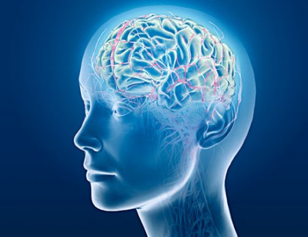 Brain | Does The Sixth Sense Exist