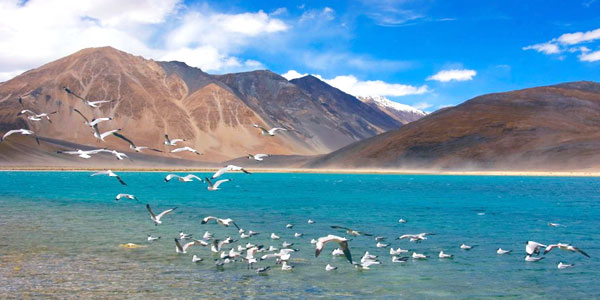 Pangong Lake –Ladakh
