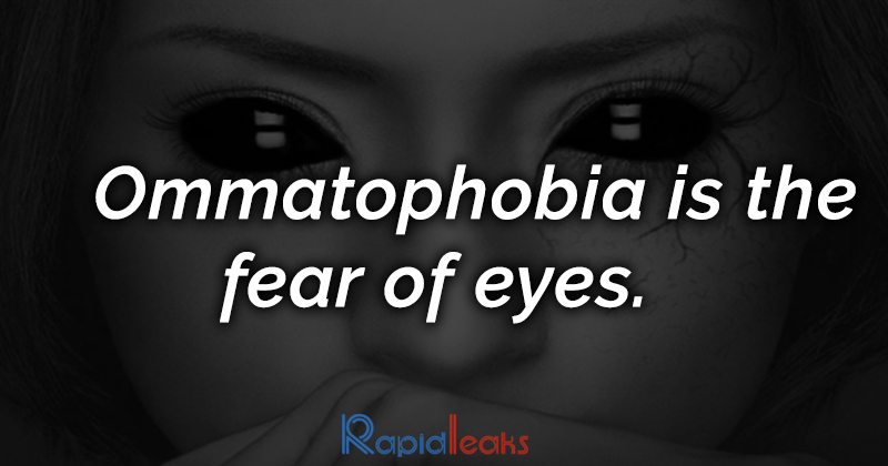 Phobia Fact