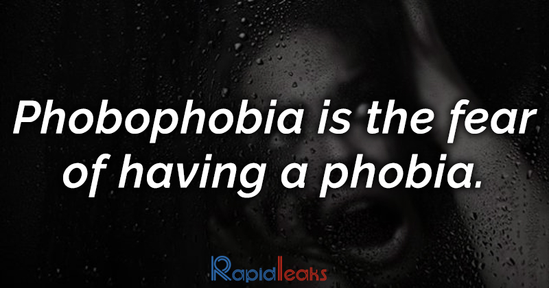 Phobia Fact