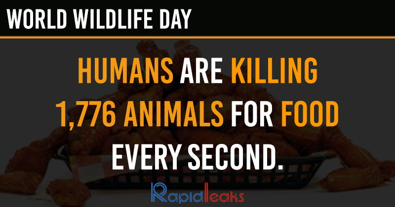 World Wildlife Day- Rapidleaks
