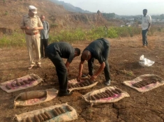 Maharashtra