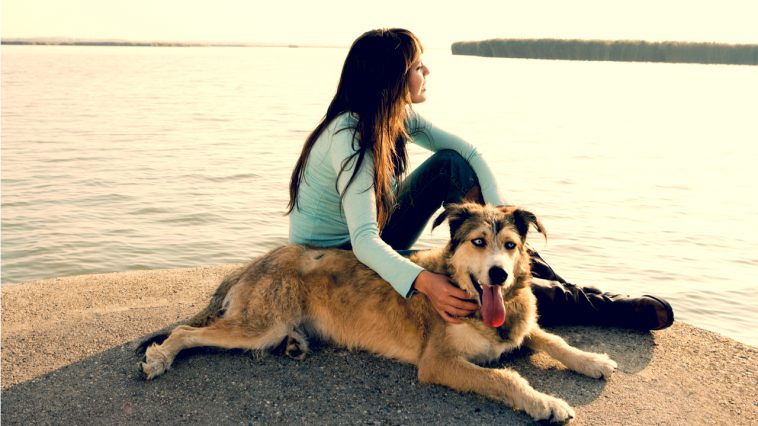 Amazing Reasons To Date A Girl Who Insanely Loves Dogs