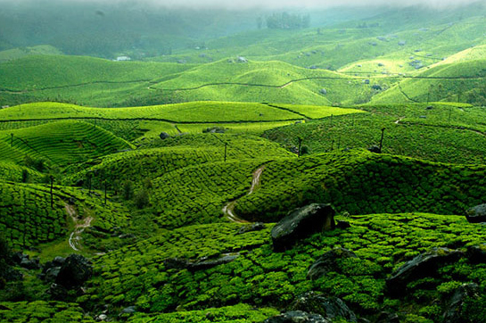 image source: tourmyindia.com