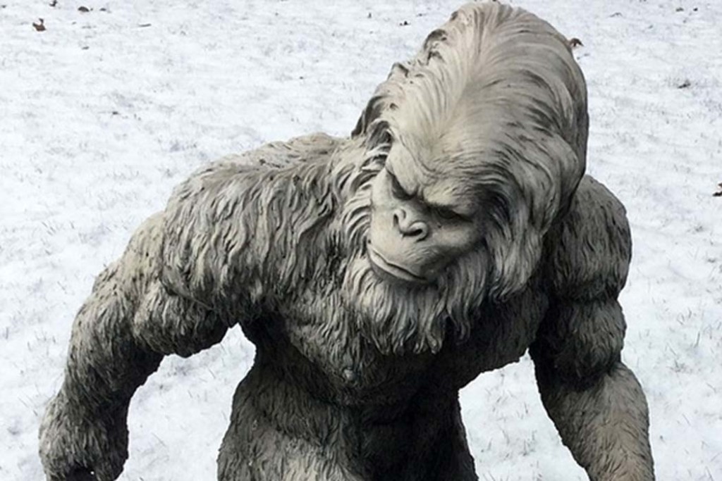 it-appears-that-the-yeti-mystery-has-finally-been-solved