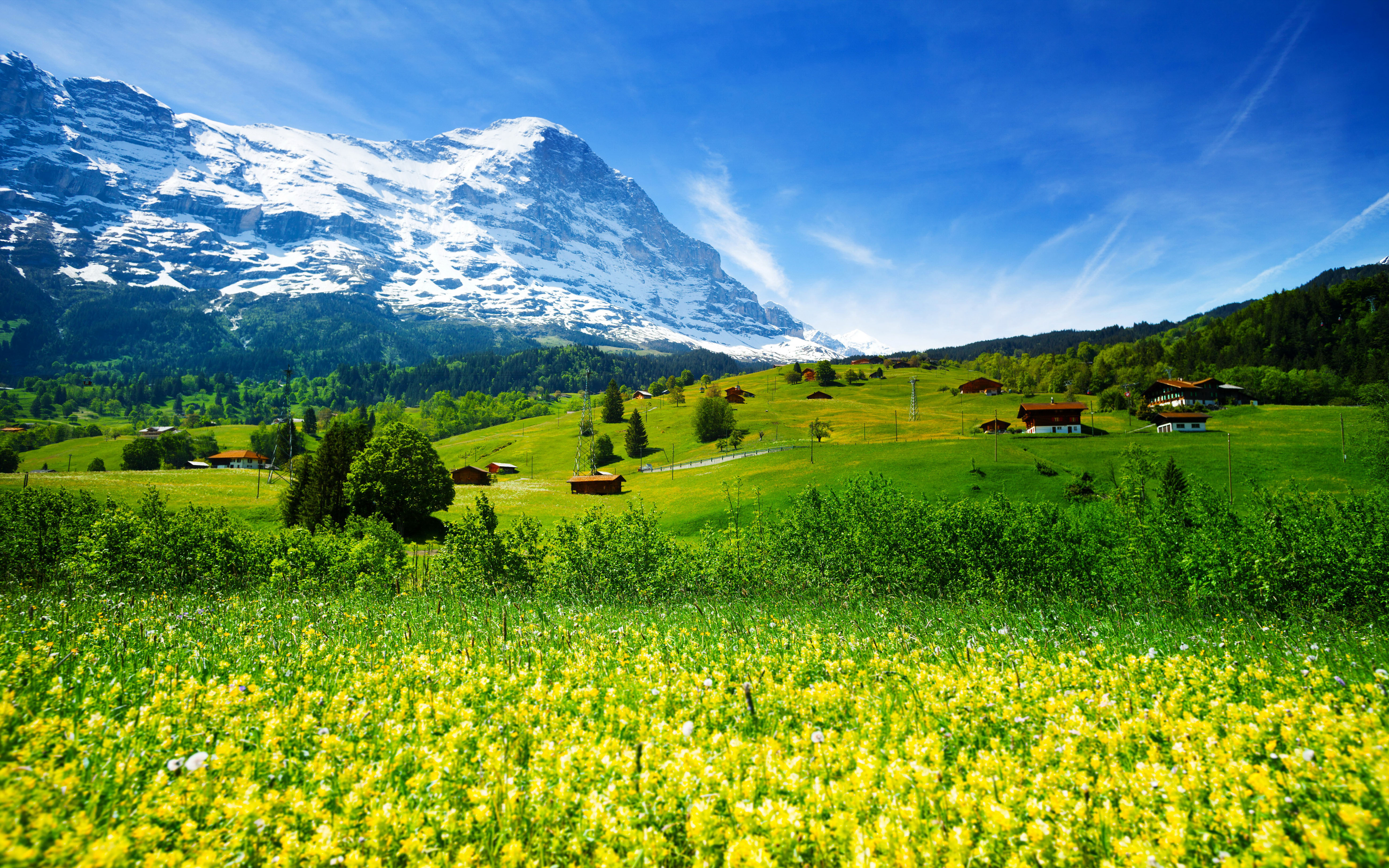 природа горы трава облака небо Швейцария бесплатно