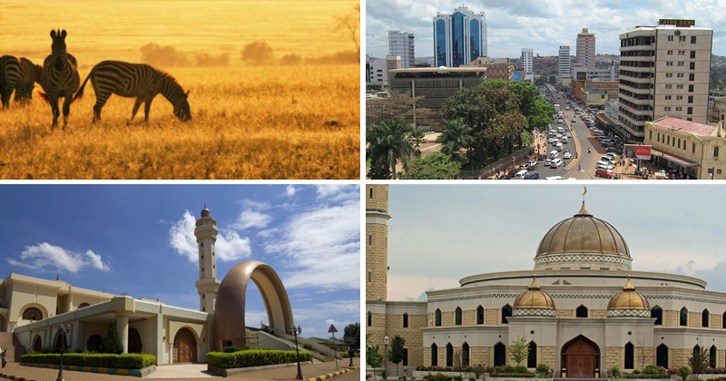 Why You Must Visit Kampala, East Africa's Rainbow and Ray Of Hope