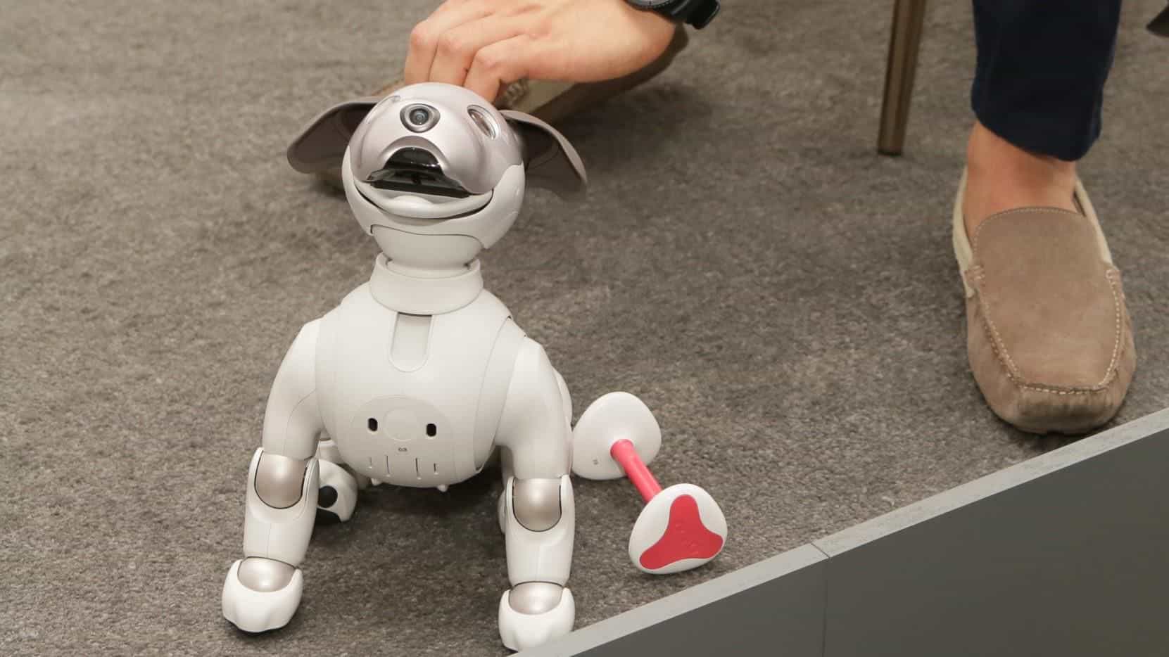 Cnet aibo hot sale