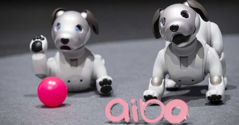 Sony Unveils Its Robo Puppy Aibo At Consumer Fair CES