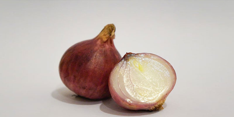 Onion