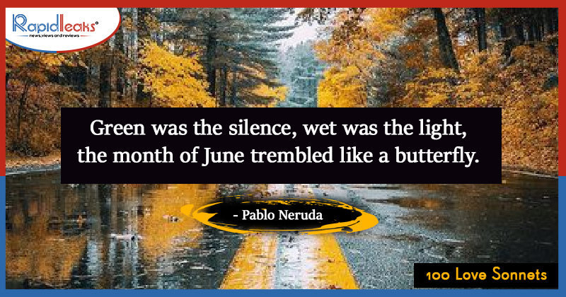 Literary Quotes About Summer