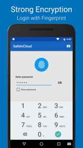 SafeInCloud Password Manager