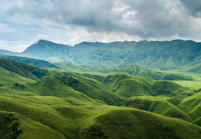 dzukou valley