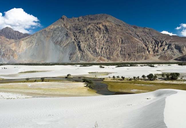 riverside nubra valley