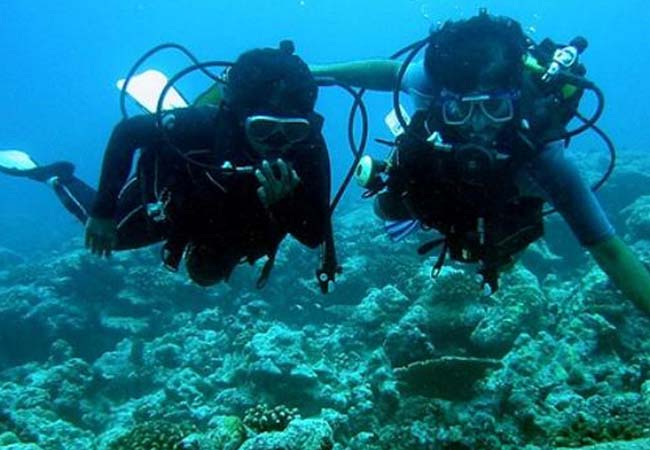 scuba diving in lakshadweep