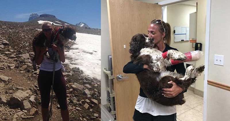 single mum carried dog after it got lost in the snow