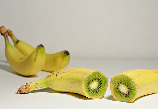 banana GMO