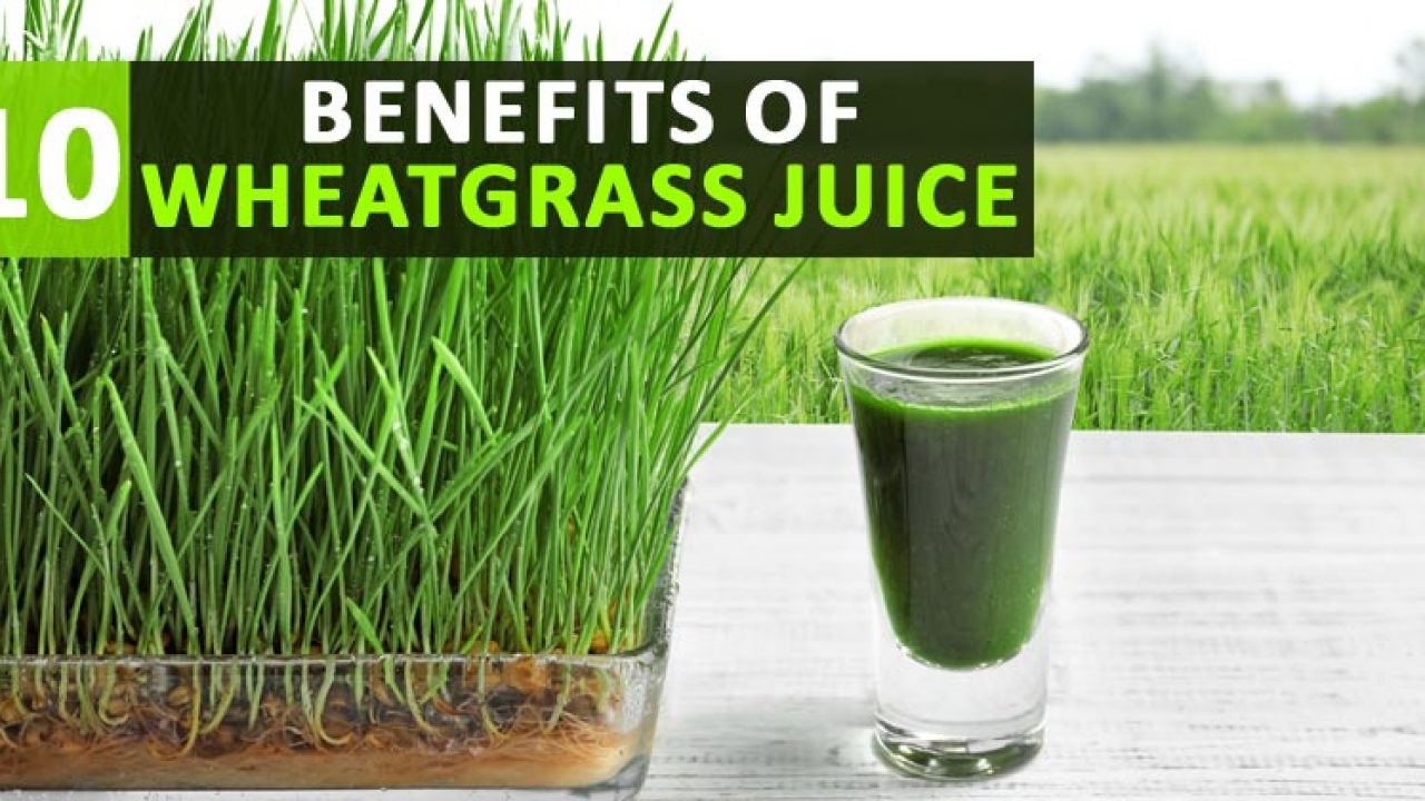 10 health benefits of wheatgrass juice that proves it is a