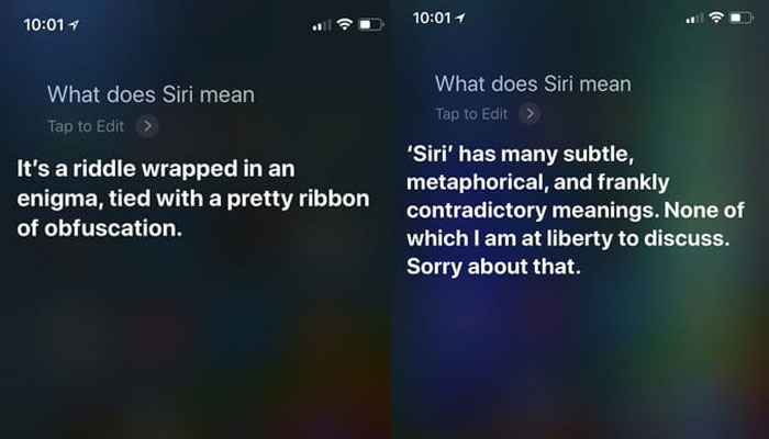 What does Siri exactly mean