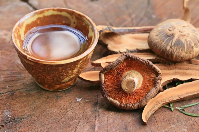 mushroom tea