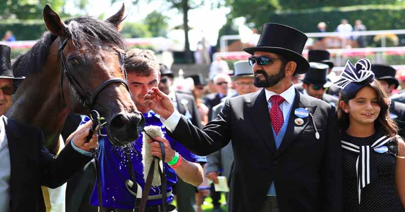Dubai Ruler Sheikh Mohammed Horse