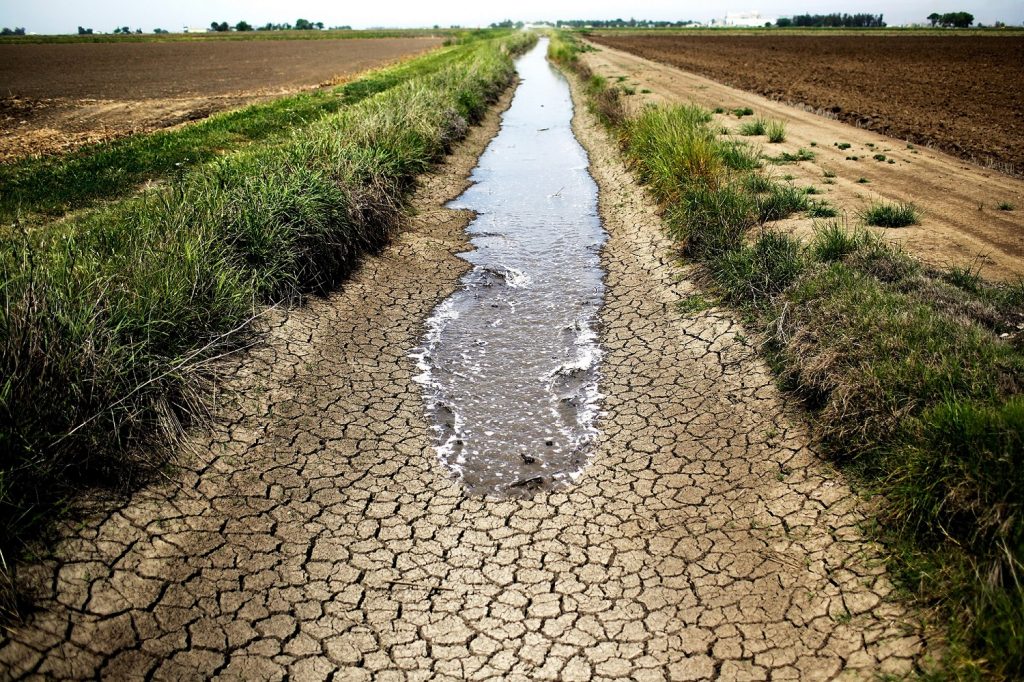 formulate the hypothesis of drought in south africa