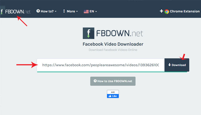 online video downloader youtube