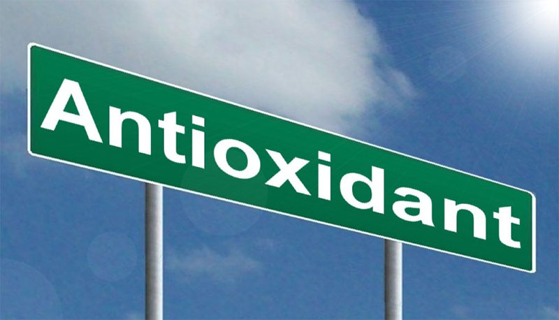 What are Antioxidants