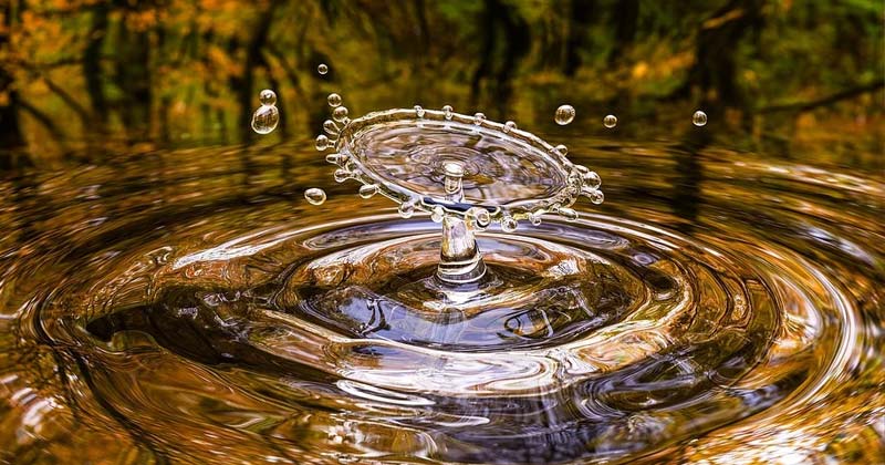 Five Reasons Why Water Is Essential To Life