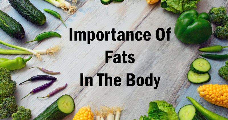 Importance of Fats