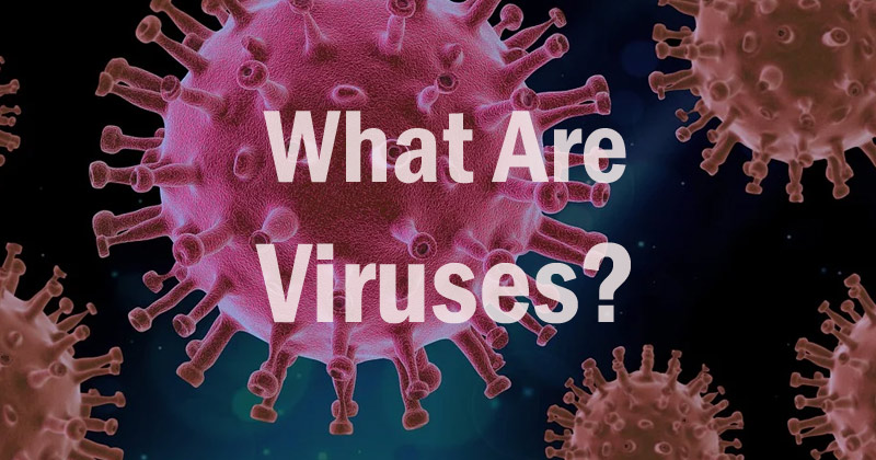 What Are Viruses