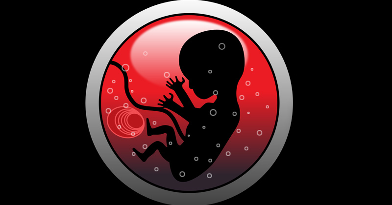 What is Umbilical Cord Blood
