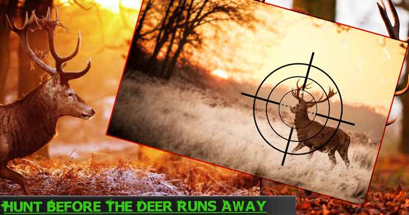 Classic Deer Hunter