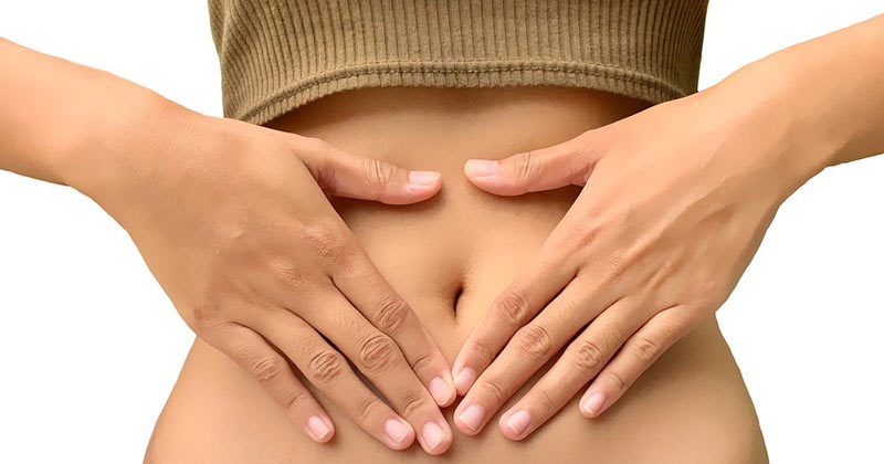 Stomach | Facts about Digestive system