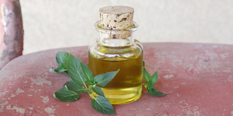 Peppermint Oil