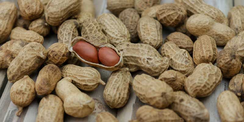 Peanuts On A Table