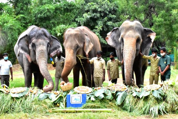 Hyderabad | Hyderabad zoo animals