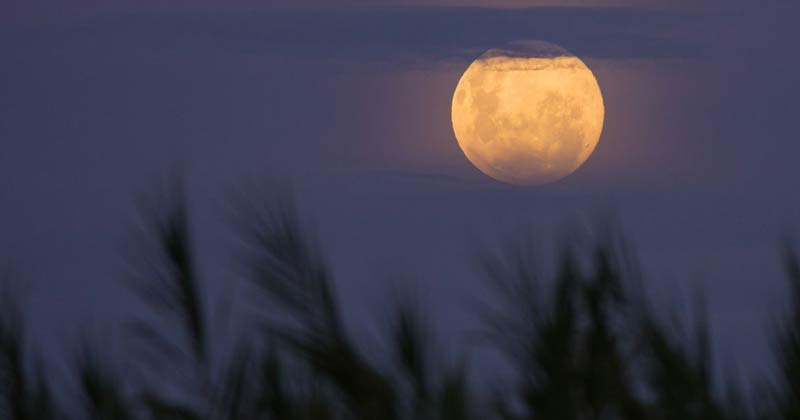 Can The Full Moon Disturb Our Sleep?