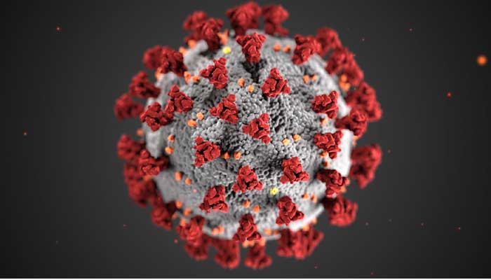 Covid 19 Virus