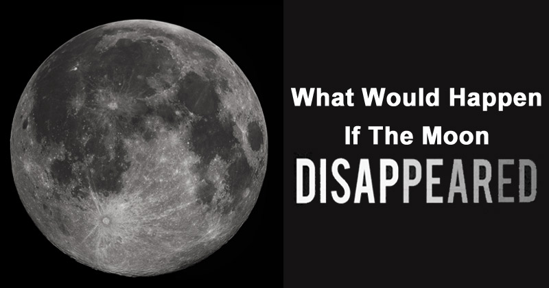 what would happen if the moon disappeared