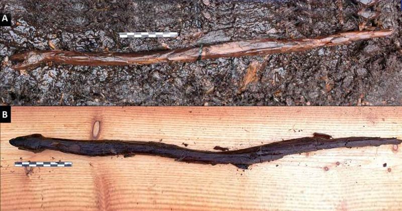 Ancient Carved Snake Found in Switzerland