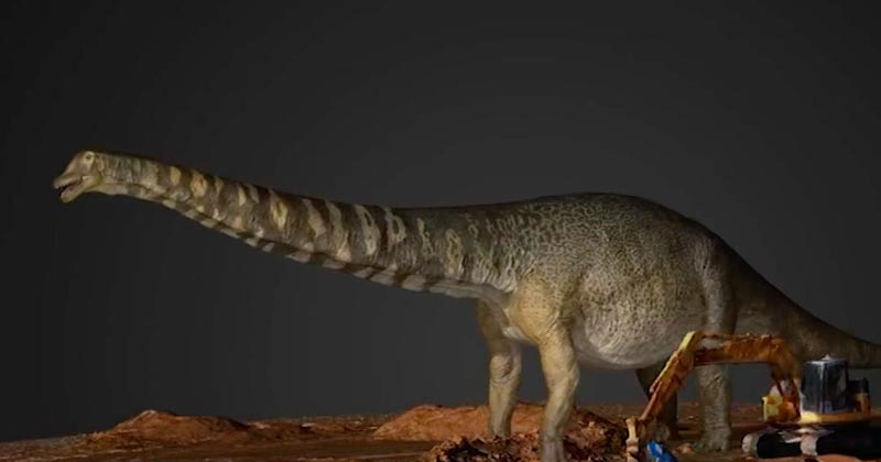 Australia Largest Dinosaur