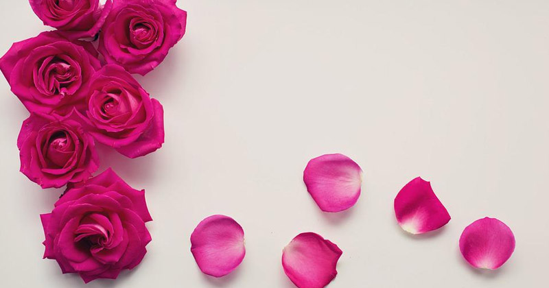 benefits of rose petals