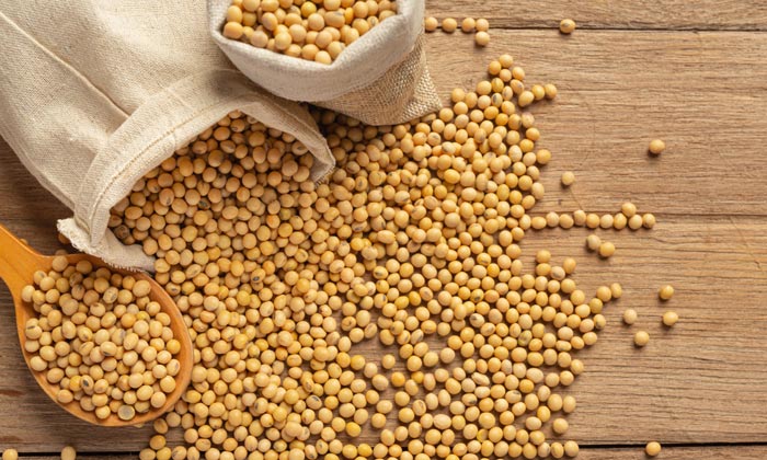 Soybean-top 10 best calcium rich foods