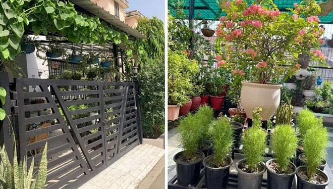 Alia Wasim Garden House Noida