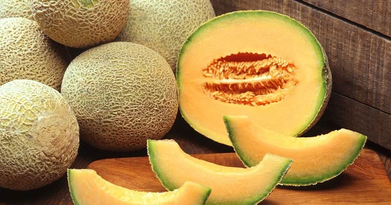 Health Benefits of Eating Cantaloupe Health Benefits of Eating Cantaloupe, what are the benefits of eating cantaloupe, how to pick a good cantaloupe