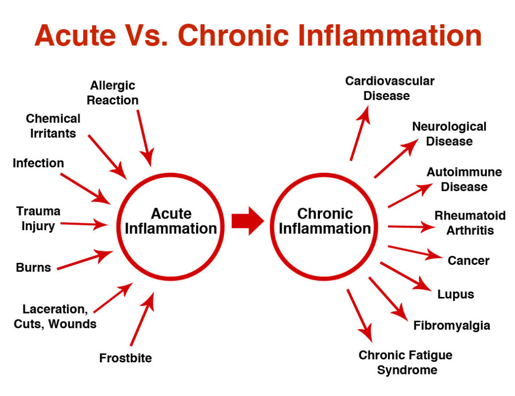 What Are The Components Of Acute Inflammation