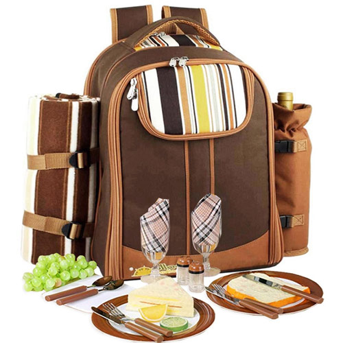 best Picnic Backpacks for 4