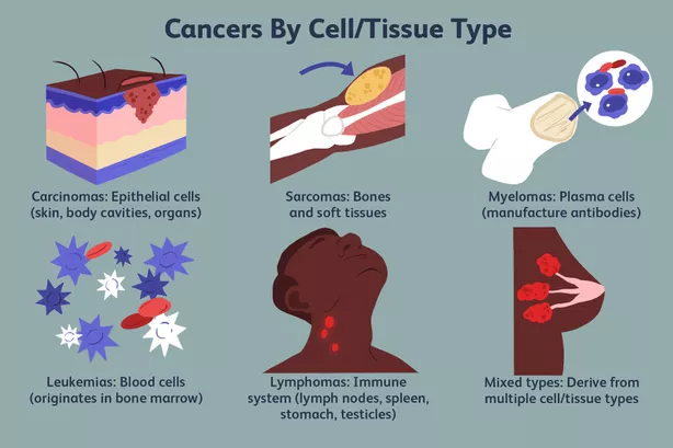 Types Of Cancer