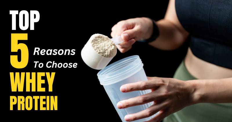 Top 5 Reasons To Choose WHEY Protein